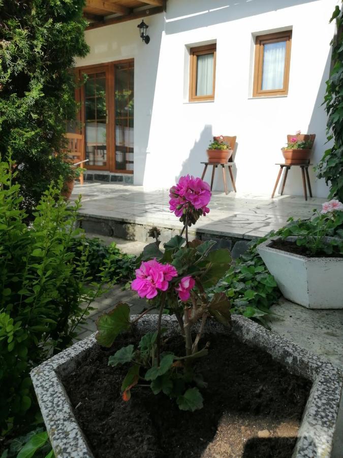 Apartmány 62 Novy Prerov Kültér fotó